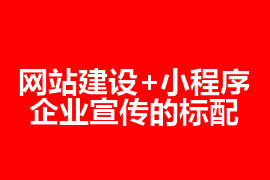 網(wǎng)站建設(shè)和小程序是企業(yè)宣傳的標(biāo)配